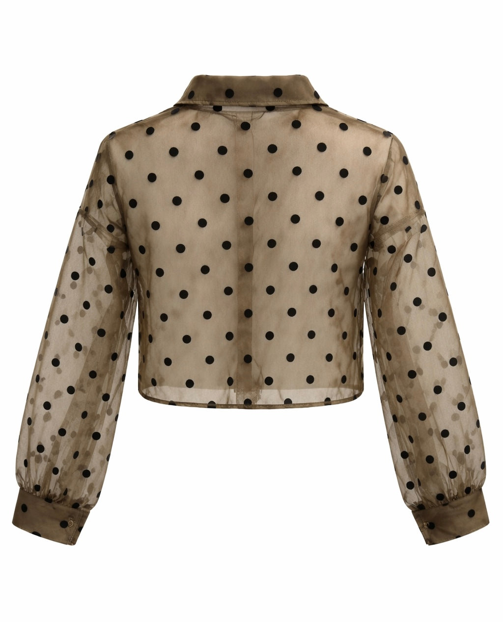 Sweet Spot Sheer Button Down top- Olive