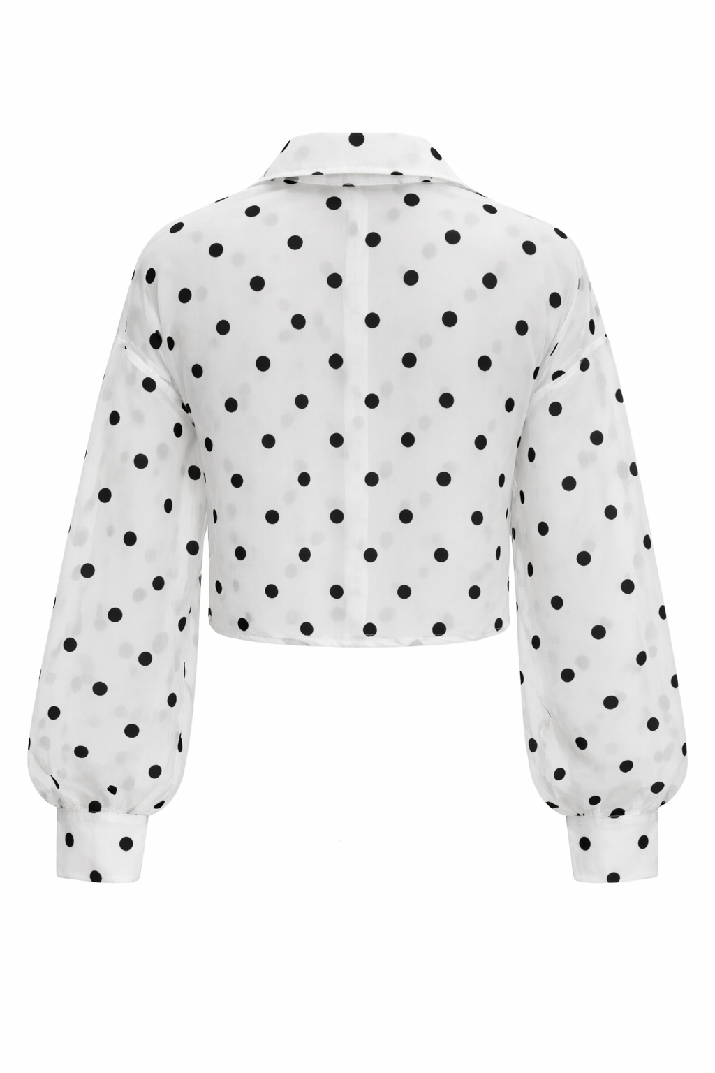 Sweet Spot Sheer Button Down top- White