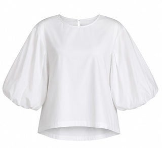 Shining Puff Sleeve Top