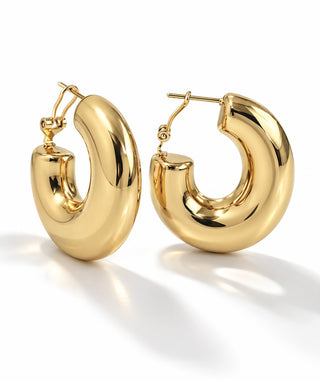 Stainless Steel Curve Hoop Earring