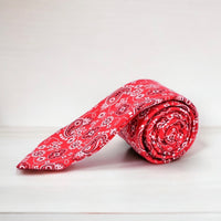 Paisley Cotton Slim Tie-260 Other Accessories-Selini New York-Coastal Bloom Boutique, find the trendiest versions of the popular styles and looks Located in Indialantic, FL