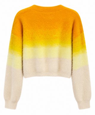Ombre Crew Neck Cropped Sweater