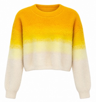 Ombre Crew Neck Cropped Sweater