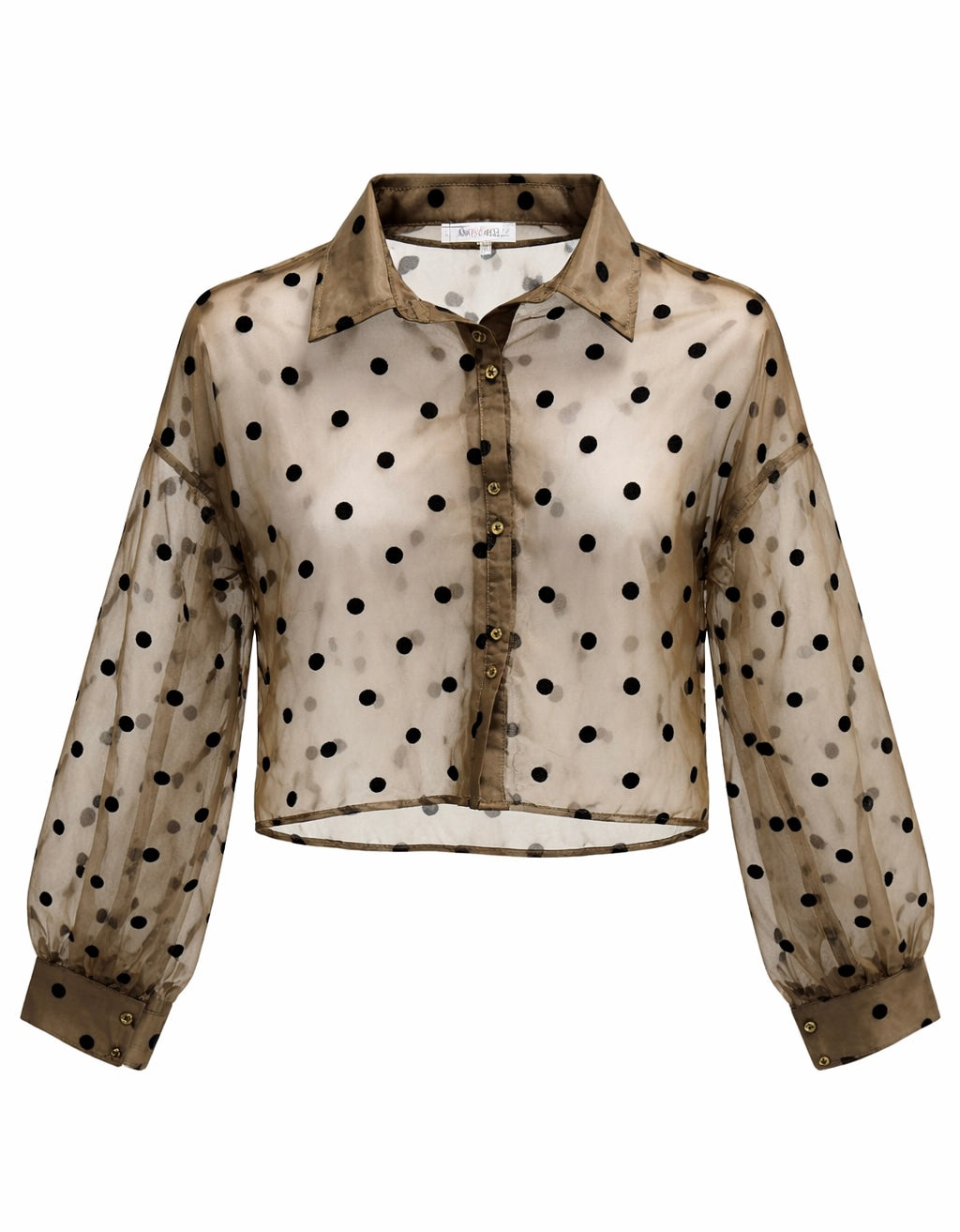 Sweet Spot Sheer Button Down top- Olive