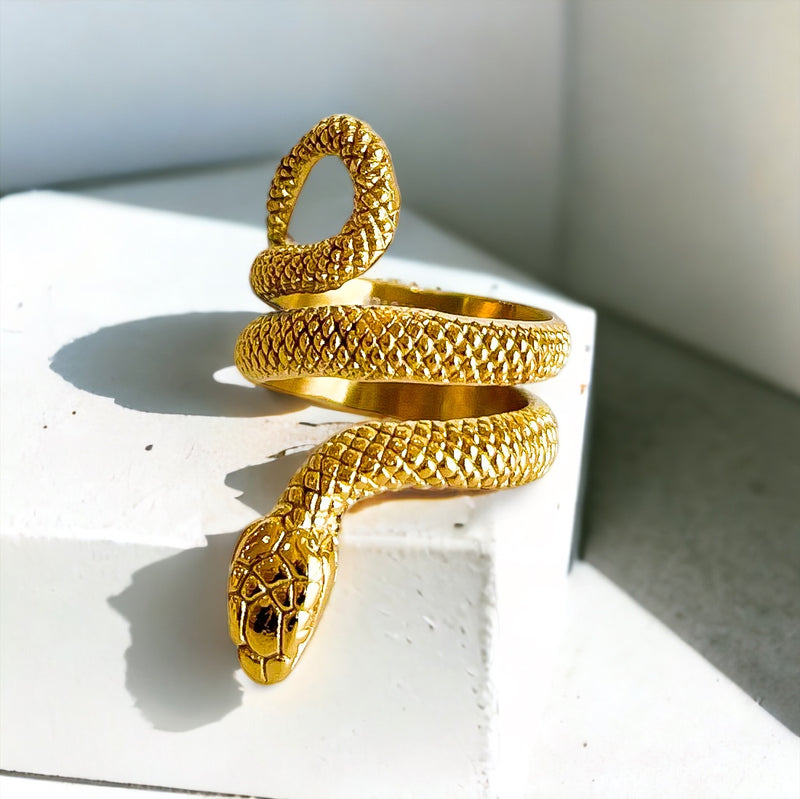 Stainless Steel Znake Ring-230 Jewelry-NYC-Coastal Bloom Boutique, find the trendiest versions of the popular styles and looks Located in Indialantic, FL