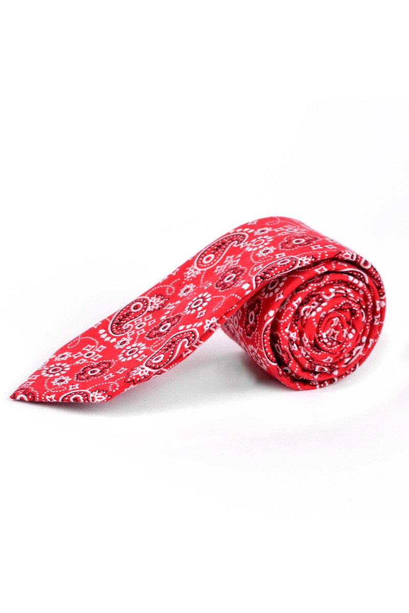 Paisley Cotton Slim Tie-260 Other Accessories-Selini New York-Coastal Bloom Boutique, find the trendiest versions of the popular styles and looks Located in Indialantic, FL