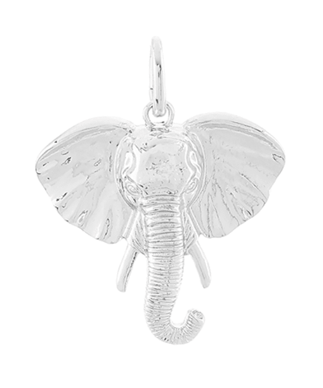 Majestic Safari Charm Pendant - Silver