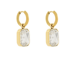 Stainless Steel Radiant Edge Earrings