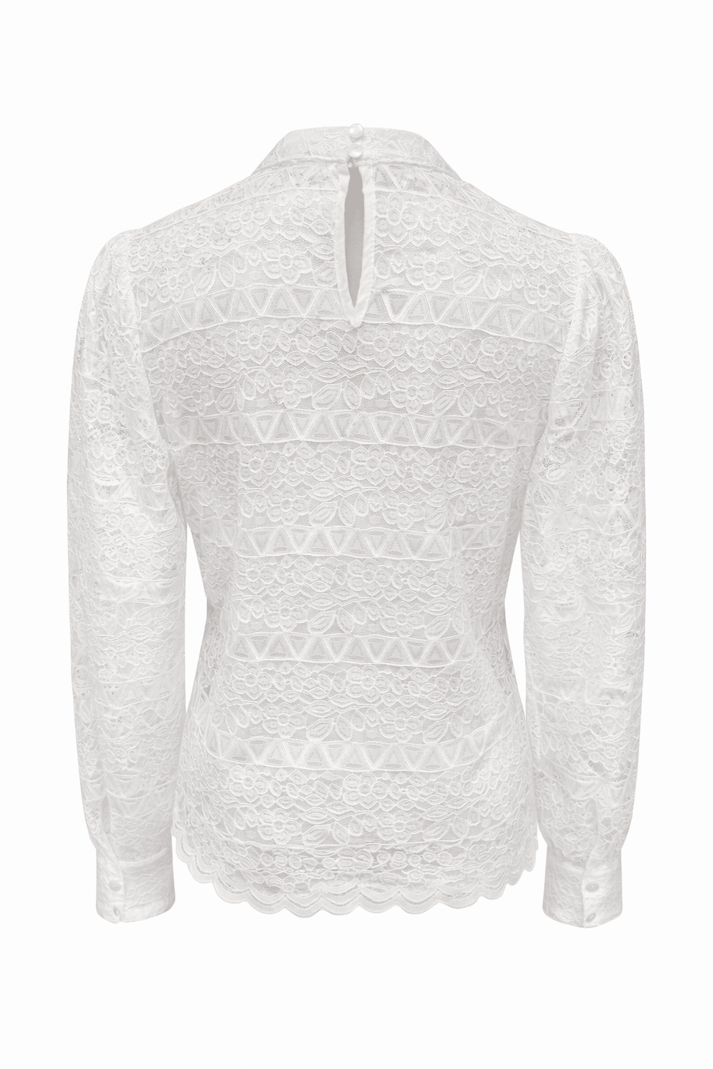 Whispered Lace High-Neck Top