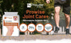 Joint Care+ Glucosamine Sulphate - 1500mg-270 Home/Gift-Prowise Healthcare-Coastal Bloom Boutique, find the trendiest versions of the popular styles and looks Located in Indialantic, FL