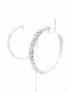 CZ Micropaved Hoop Earrings-230 Jewelry-NYW-Coastal Bloom Boutique, find the trendiest versions of the popular styles and looks Located in Indialantic, FL